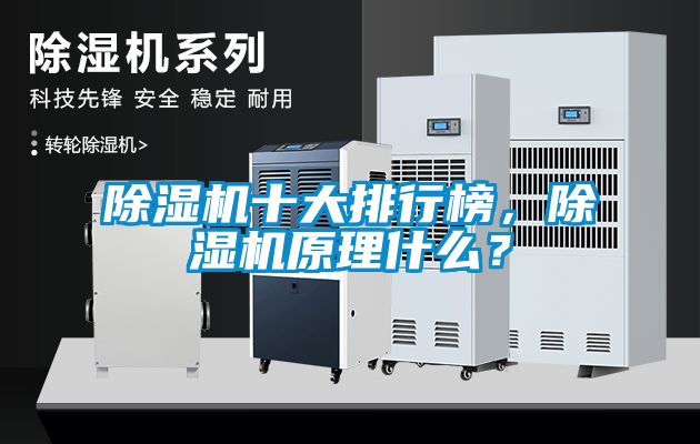 除濕機十大排行榜，除濕機原理什么？