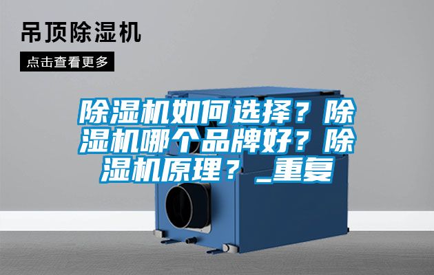 除濕機如何選擇？除濕機哪個品牌好？除濕機原理？_重復