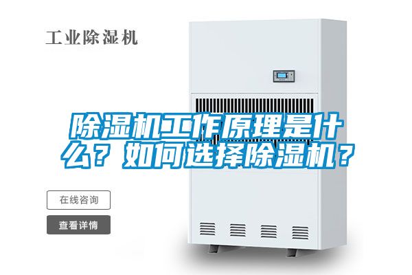 除濕機工作原理是什么？如何選擇除濕機？