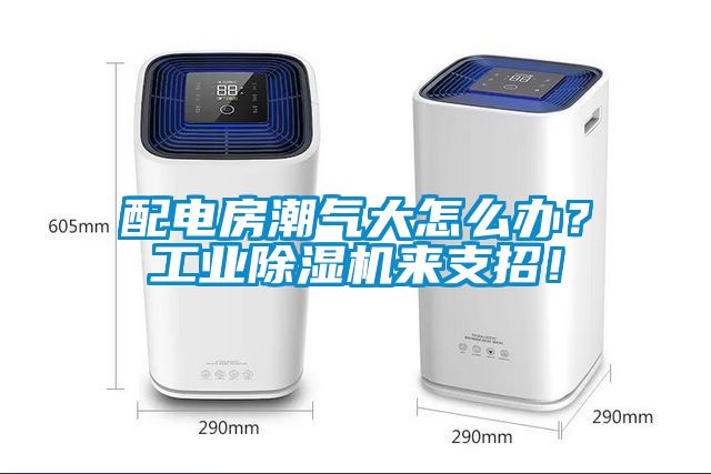 配電房潮氣大怎么辦？工業除濕機來支招！