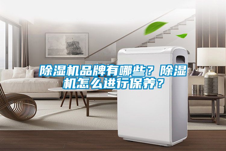 除濕機品牌有哪些？除濕機怎么進行保養？