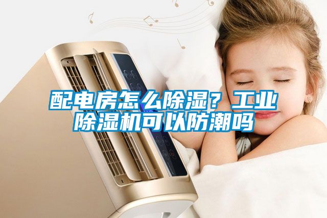 配電房怎么除濕？工業除濕機可以防潮嗎