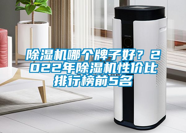 除濕機哪個牌子好？2022年除濕機性價比排行榜前5名