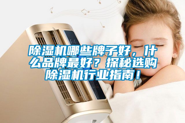 除濕機哪些牌子好，什么品牌最好？探秘選購除濕機行業指南！