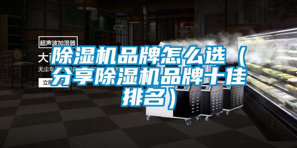 除濕機品牌怎么選（分享除濕機品牌十佳排名）