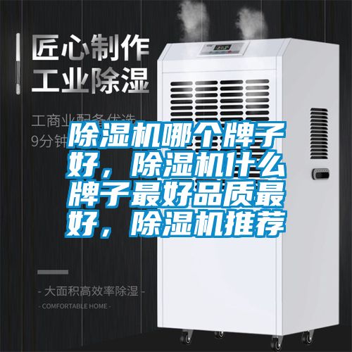 除濕機哪個牌子好，除濕機什么牌子最好品質最好，除濕機推薦