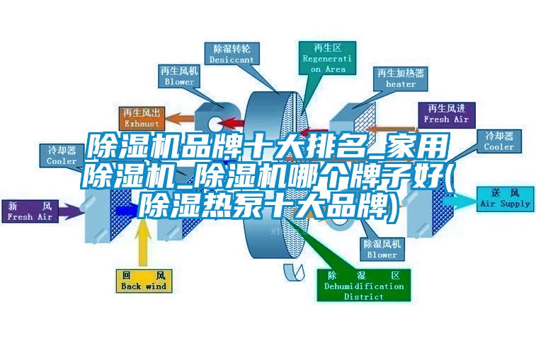 除濕機品牌十大排名_家用除濕機_除濕機哪個牌子好(除濕熱泵十大品牌)