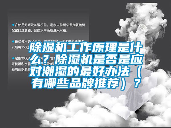 除濕機工作原理是什么？除濕機是否是應對潮濕的最好辦法（有哪些品牌推薦）？