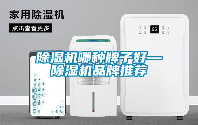 除濕機哪種牌子好—除濕機品牌推薦