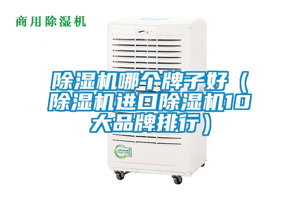 除濕機哪個牌子好（除濕機進口除濕機10大品牌排行）