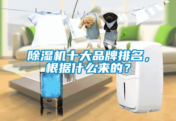 除濕機十大品牌排名，根據什么來的？