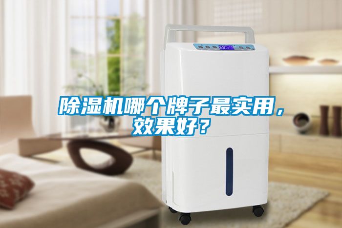 除濕機哪個牌子最實用，效果好？