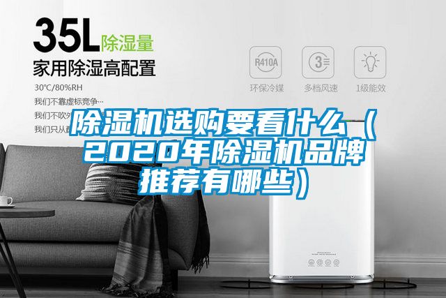 除濕機選購要看什么（2020年除濕機品牌推薦有哪些）