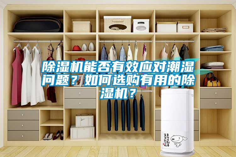 除濕機能否有效應對潮濕問題？如何選購有用的除濕機？