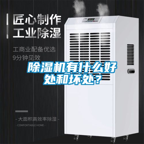 除濕機有什么好處和壞處？