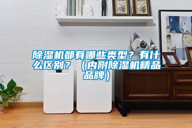 除濕機都有哪些類型？有什么區別？（內附除濕機精品品牌）