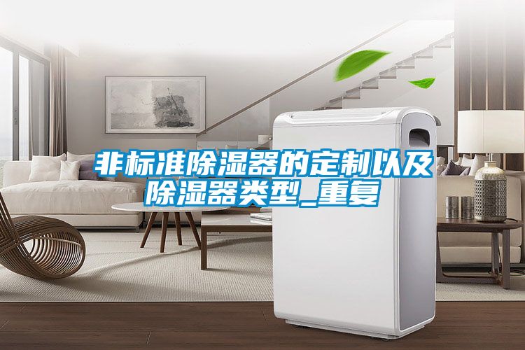 非標準除濕器的定制以及除濕器類型_重復