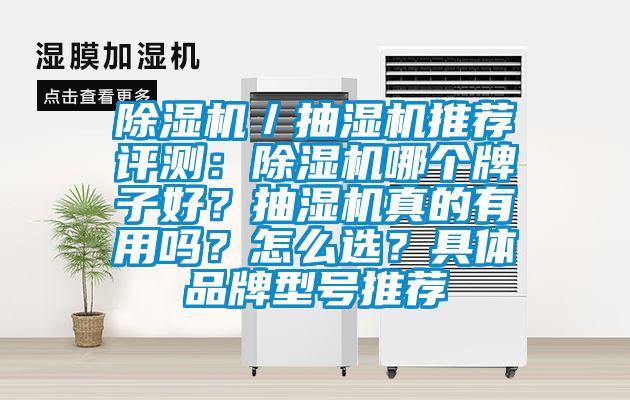 除濕機／抽濕機推薦評測：除濕機哪個牌子好？抽濕機真的有用嗎？怎么選？具體品牌型號推薦