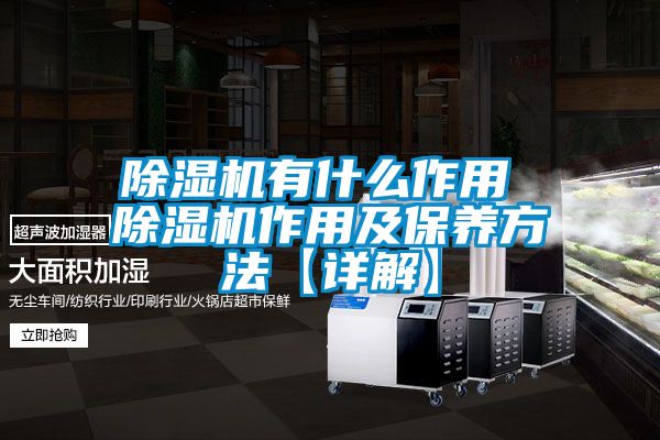 除濕機有什么作用 除濕機作用及保養方法【詳解】