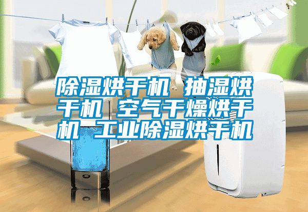 除濕烘干機 抽濕烘干機 空氣干燥烘干機 工業(yè)除濕烘干機