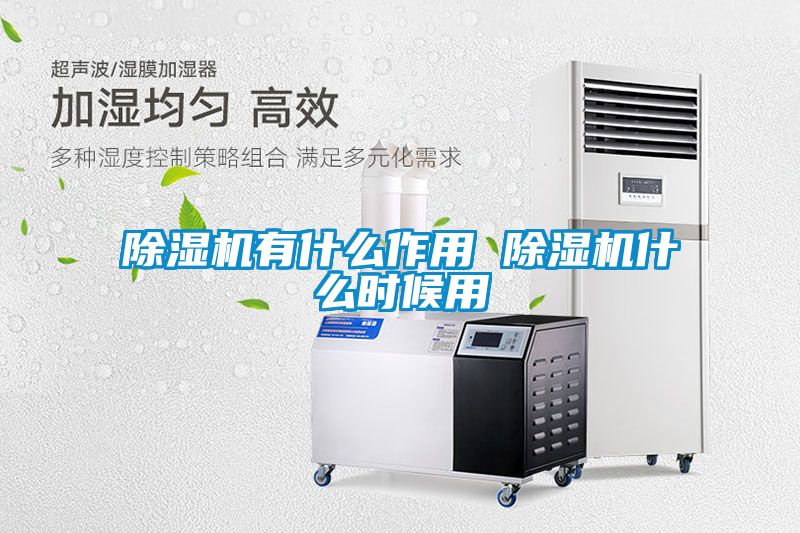 除濕機有什么作用 除濕機什么時候用