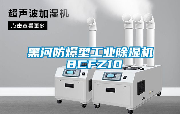 黑河防爆型工業除濕機 BCFZ10