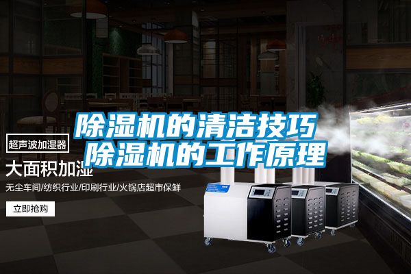 除濕機的清潔技巧 除濕機的工作原理