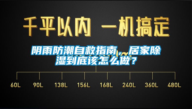 陰雨防潮自救指南，居家除濕到底該怎么做？