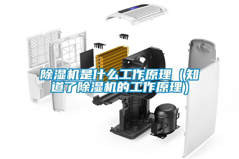 除濕機(jī)是什么工作原理（知道了除濕機(jī)的工作原理）