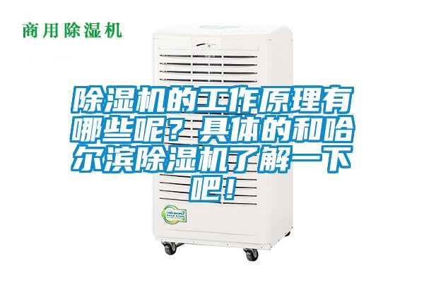 除濕機的工作原理有哪些呢？具體的和哈爾濱除濕機了解一下吧！