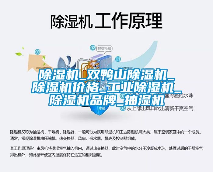 除濕機_雙鴨山除濕機_除濕機價格_工業除濕機_除濕機品牌_抽濕機