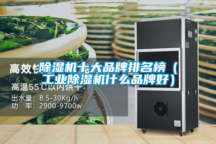 除濕機十大品牌排名榜（工業除濕機什么品牌好）