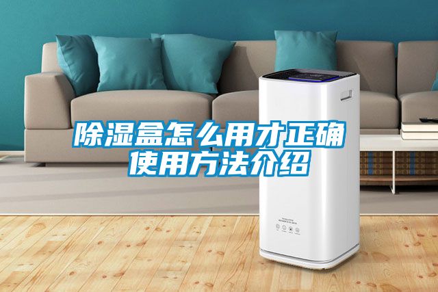 除濕盒怎么用才正確 使用方法介紹