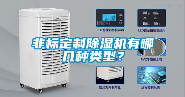 非標定制除濕機有哪幾種類型？