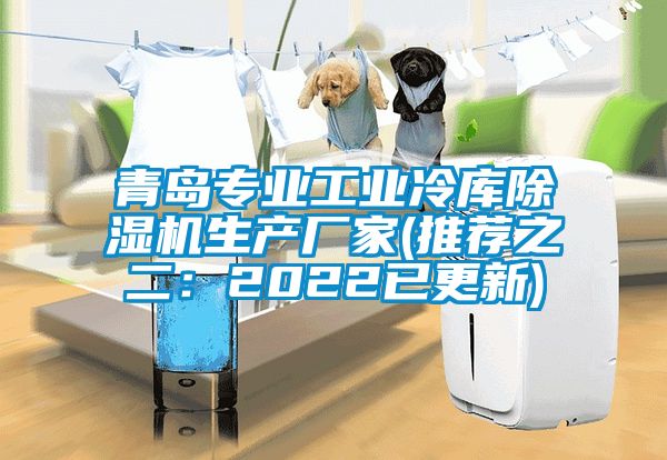 青島專業工業冷庫除濕機生產廠家(推薦之二：2022已更新)