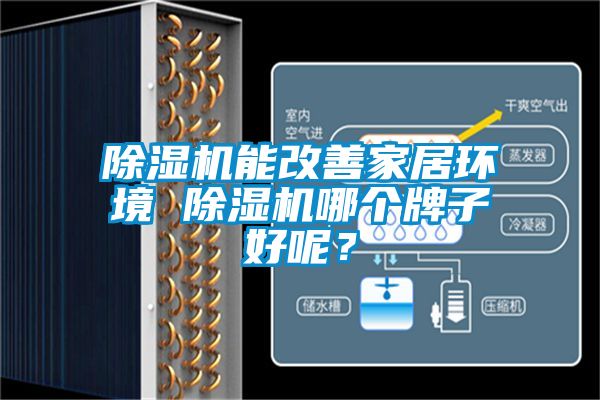 除濕機能改善家居環境 除濕機哪個牌子好呢？