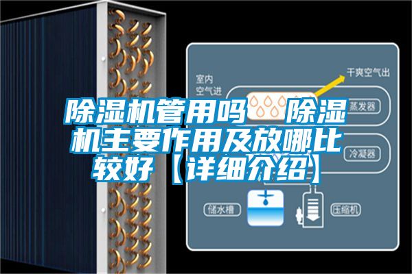 除濕機管用嗎  除濕機主要作用及放哪比較好【詳細介紹】