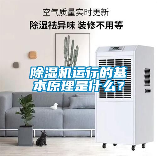 除濕機運行的基本原理是什么？