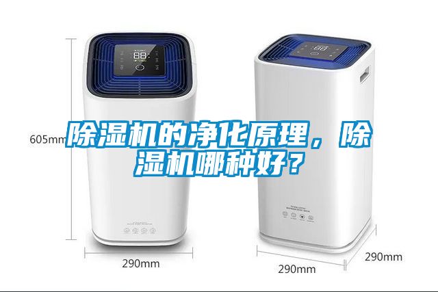 除濕機的凈化原理，除濕機哪種好？