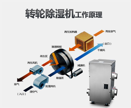 安詩曼凈化車間工業(yè)轉輪除濕機解決方案